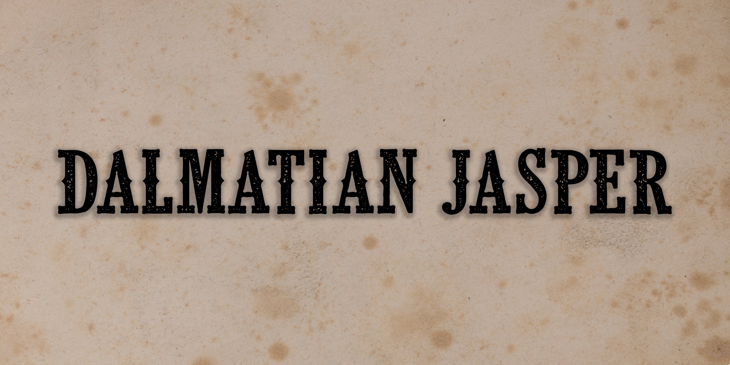 Dalmatian Jasper