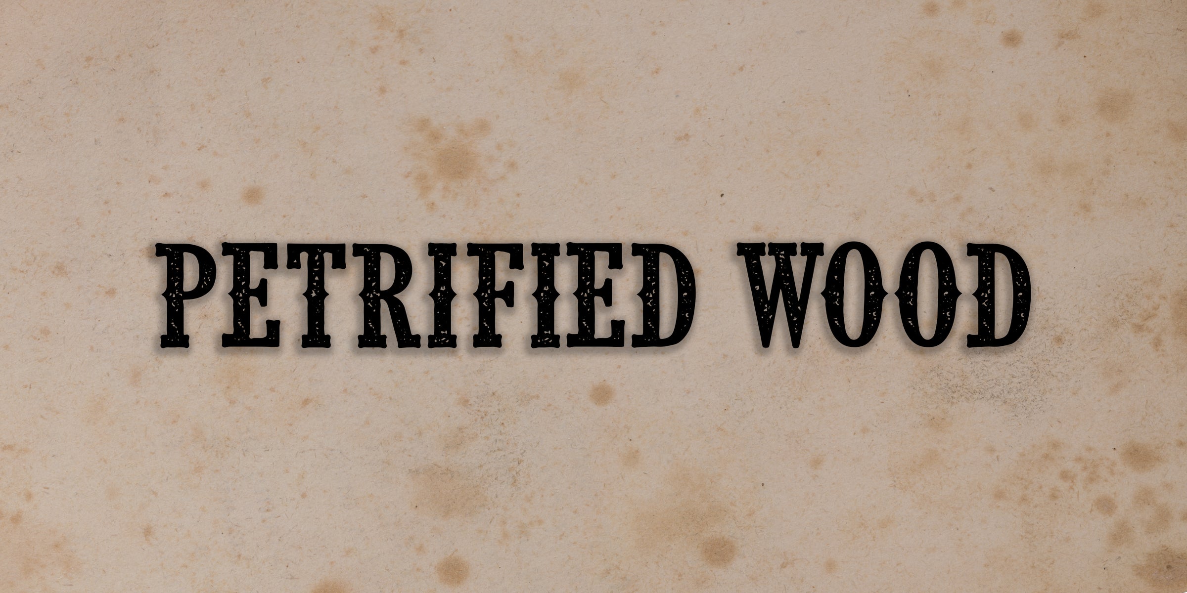 Petrified Wood