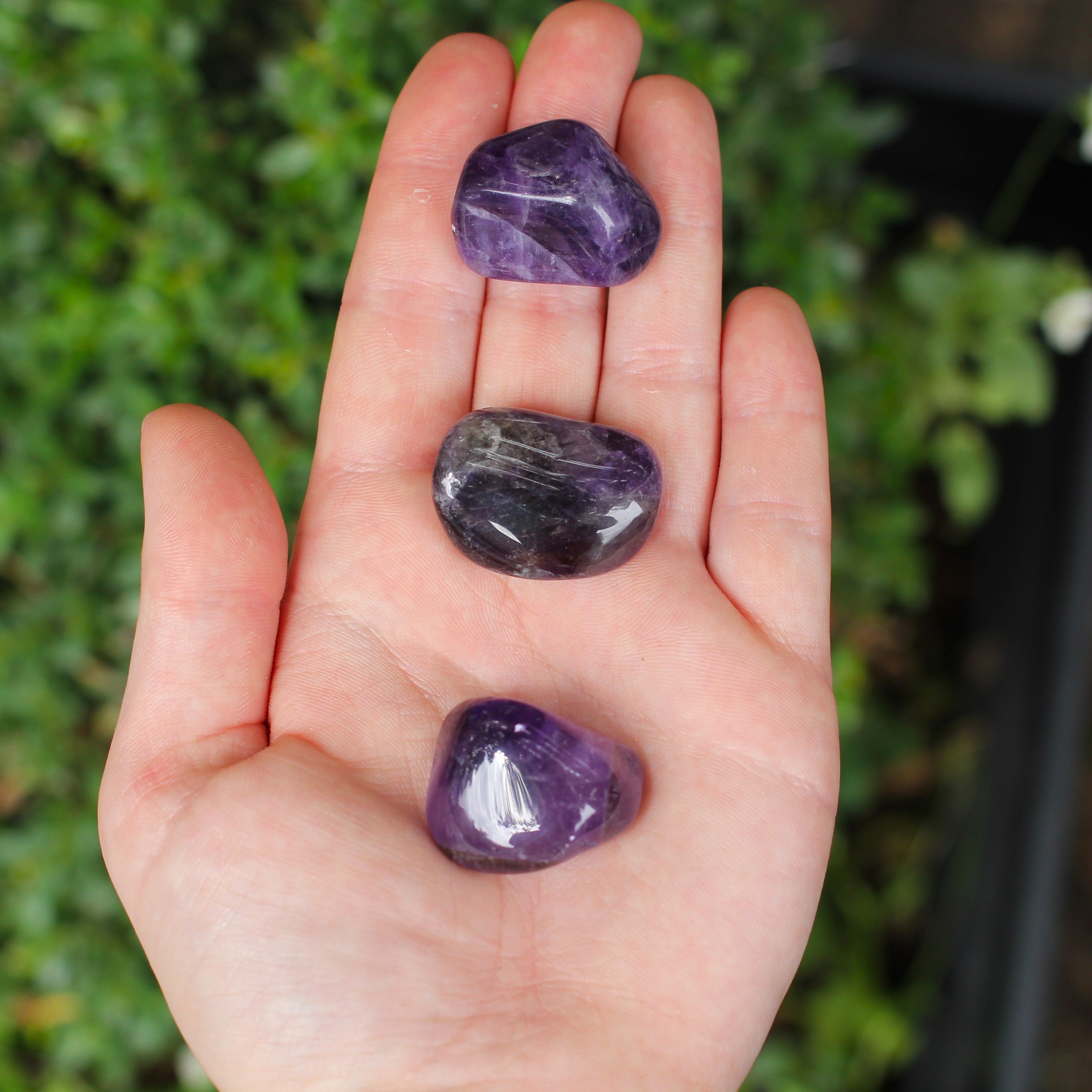 Tumbled Amethyst tumbled-amethyst