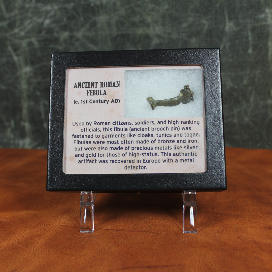 Ancient Roman Fibula Shadow Box