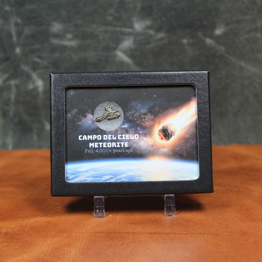 Campo del Cielo Meteorite Shadow Box