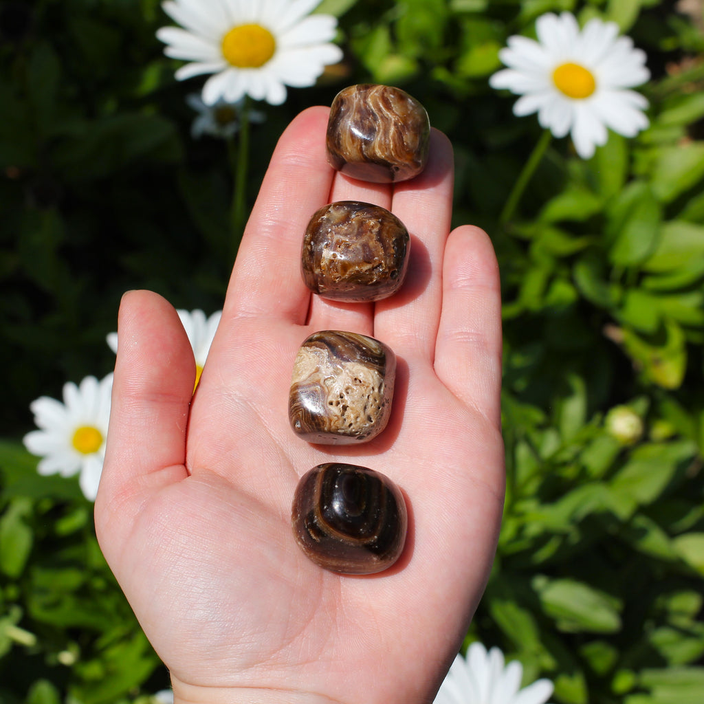 ChocolateCalciteTumbledStoneed