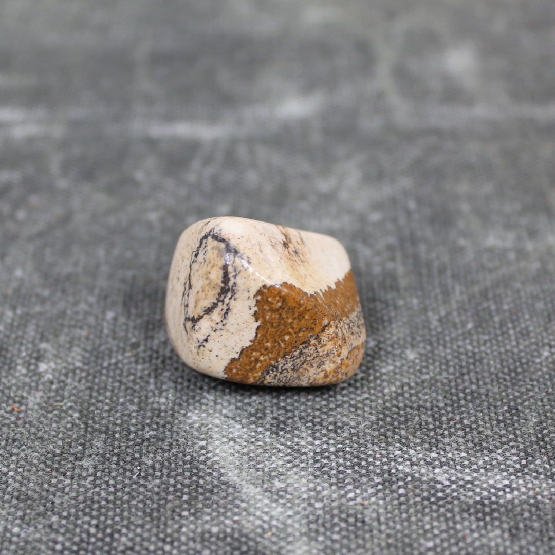 Cobra Jasper Tumbled Stone