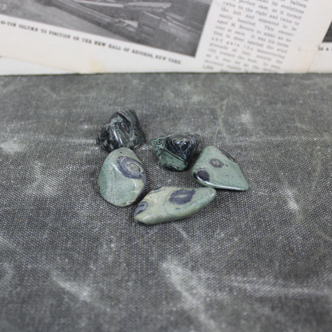 Kambaba Jasper Tumbled Stone
