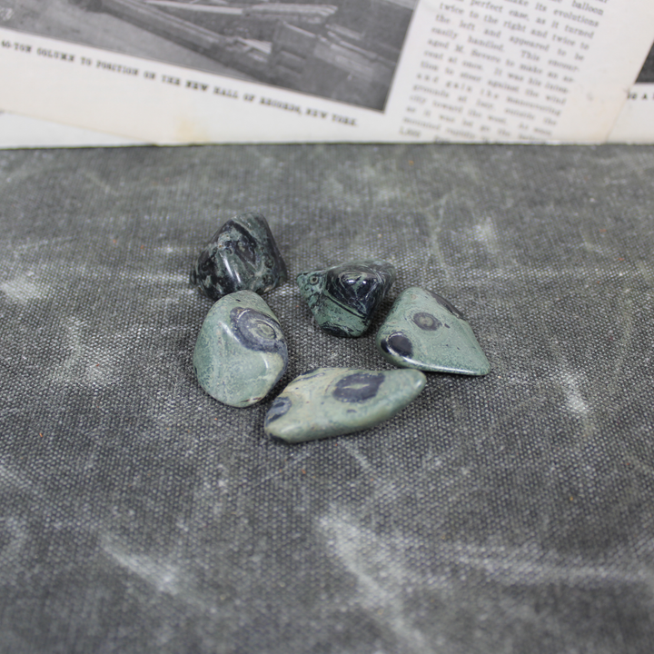 Kambaba Jasper Tumbled Stone
