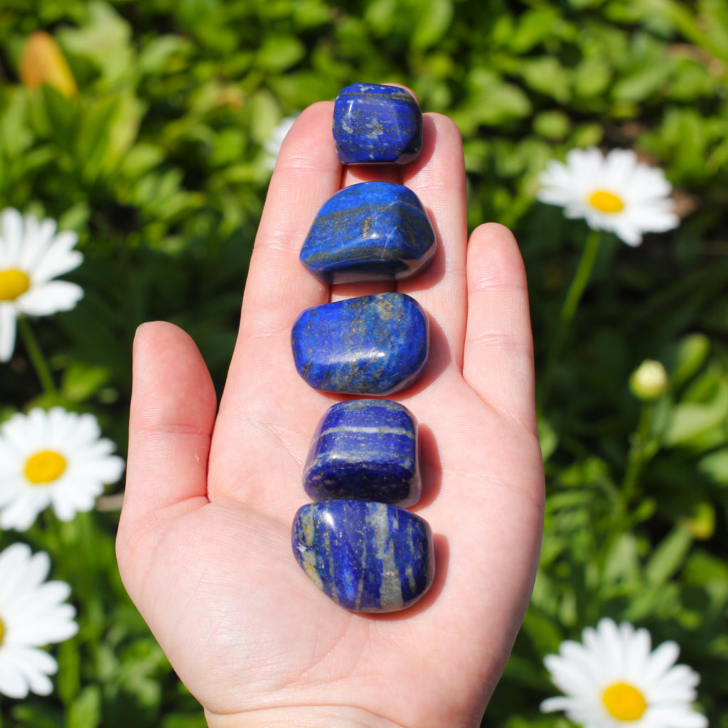 Lapis Lazuli Tumbled Stone – Asheville Gem Mine